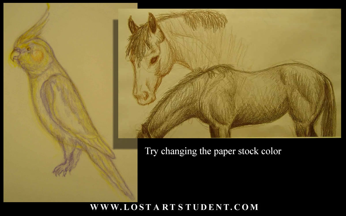 animal-life-lesson-horse-student-teacher-bird