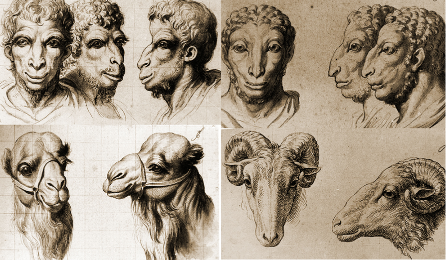 animals with human faces