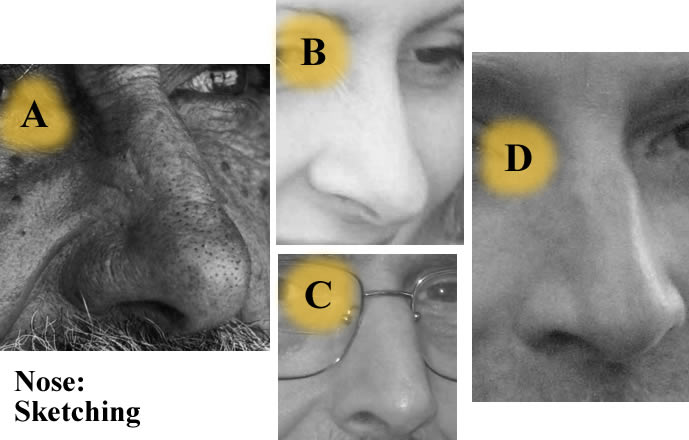 nose  portrait drawing